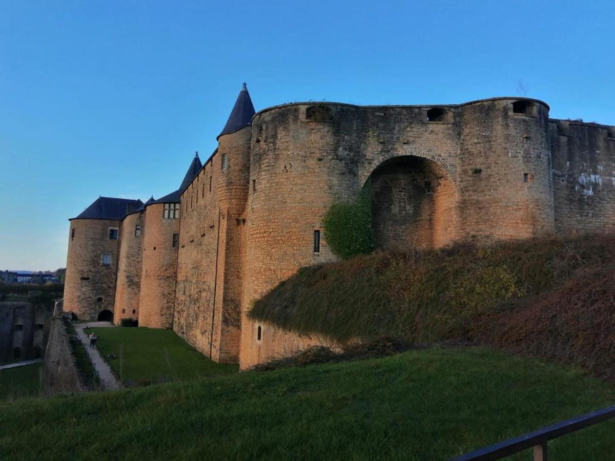 Gite Tante Aurore Et Chambres D'Hotes Chemery-Chehery ภายนอก รูปภาพ